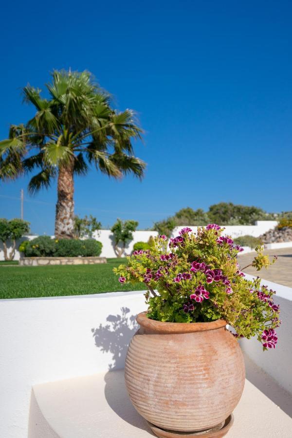 Georgia'S Apartments Kouremenos Beach Anevato Exterior photo